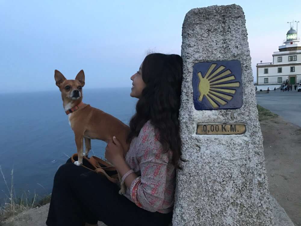 Camino de Santiago con tu mascota, Finisterre