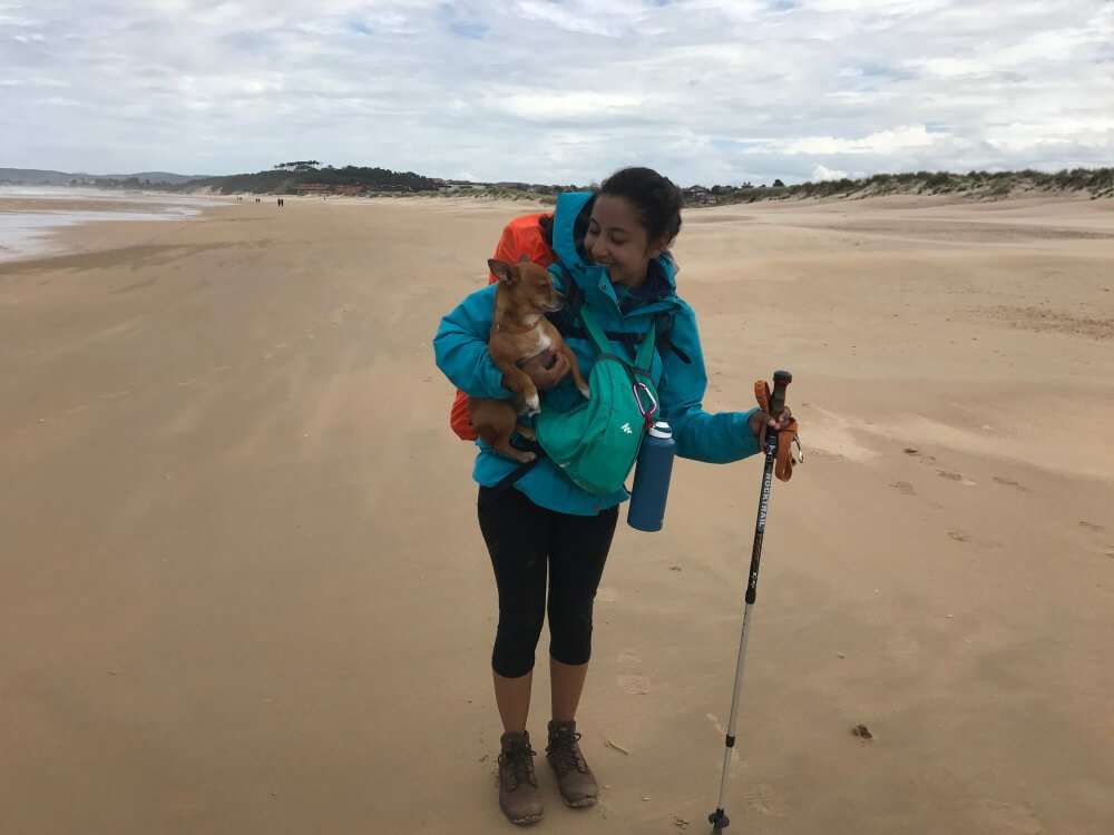 Camino de Santiago con tu mascota, playa