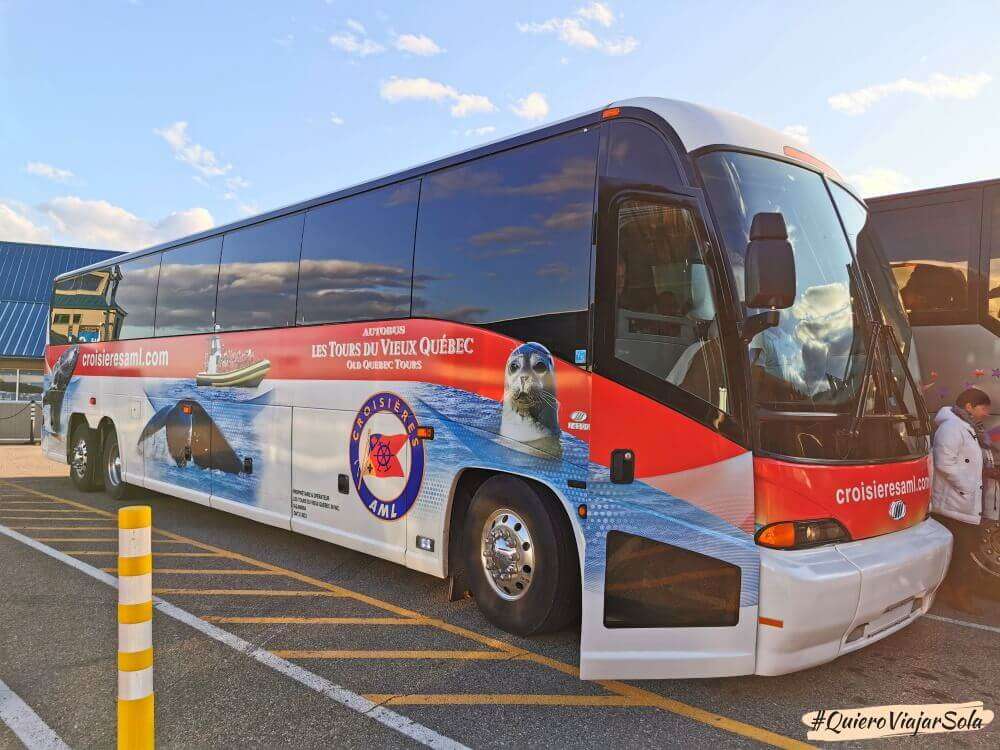 Autobús de AML Croisieres