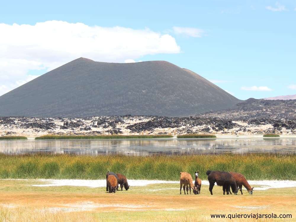 Volcán Antofagasta