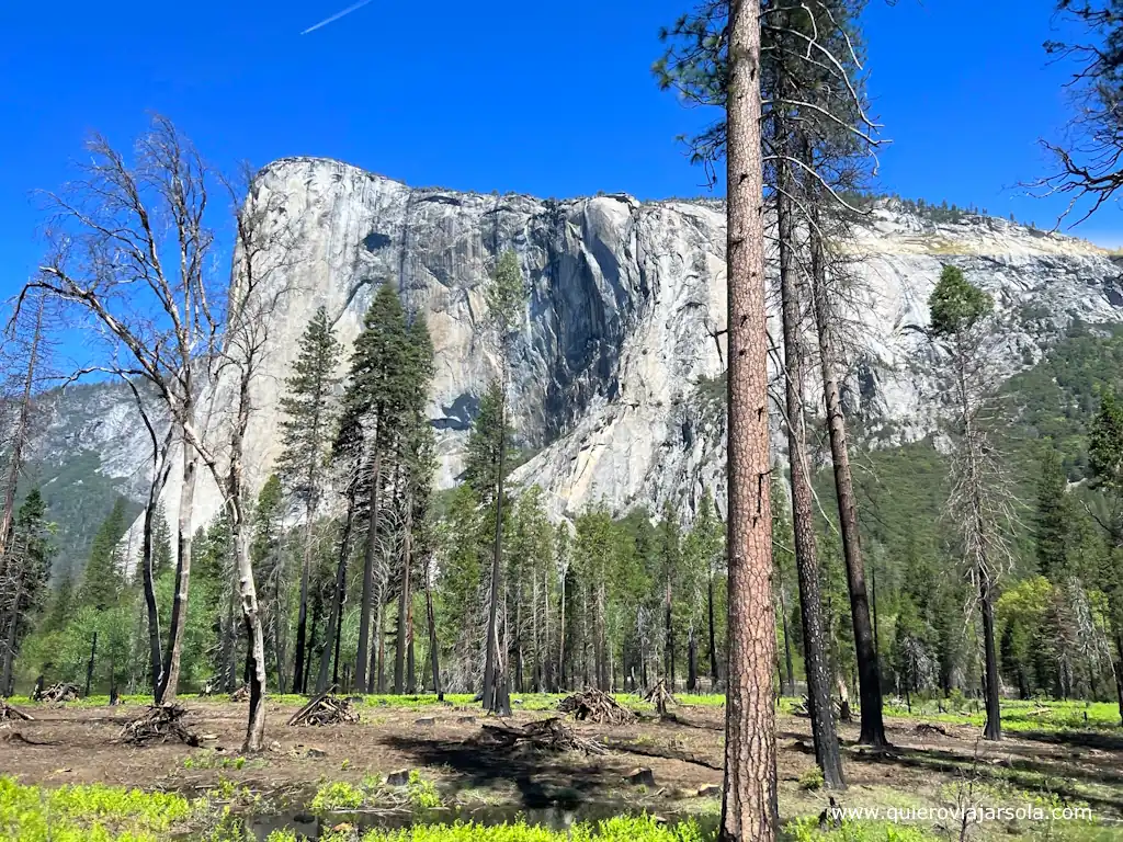 Formación rocosa El Capitán en el Parque Nacional Yosemite