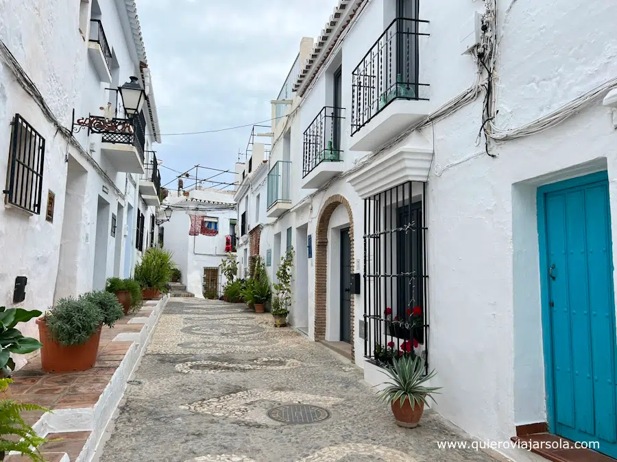 Calle con casas blancas y plantas en Frigiliana