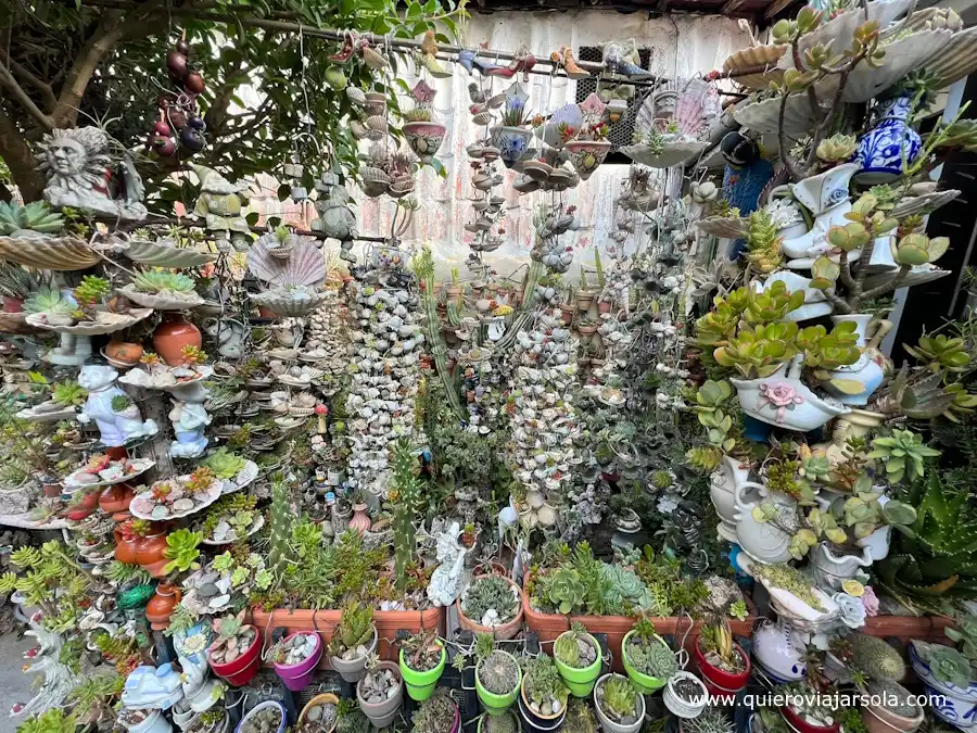 Jardín de cactus en Hervás